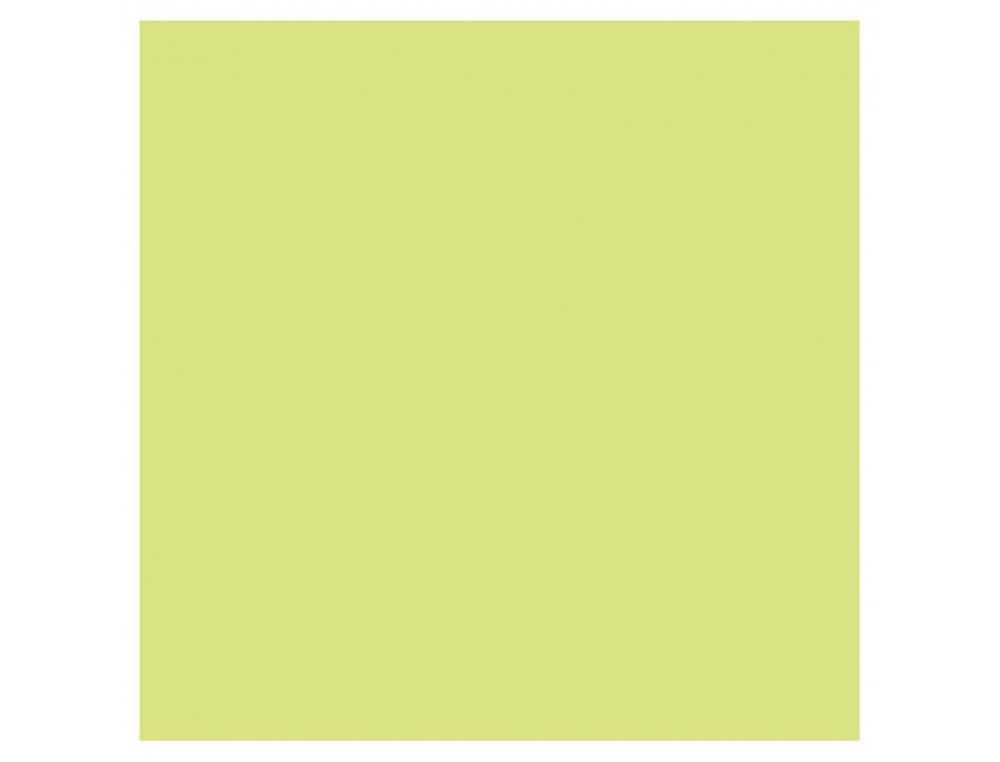 PAPIER DESSIN CLAIREFONTAINE CARTOLINE 50X65CM 120G        COLORIS VERT CLAIR PAQUET 25  FEUILLES