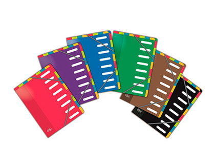 TRIEUR OXFORD COLOR LIFE POLYPROPYLÈNE A4+ 8 COMPARTIMENTS FERMETURE ÉLASTIQUES ONGLETS DOUBLE ENTRÉE COLORIS ASSORTIS