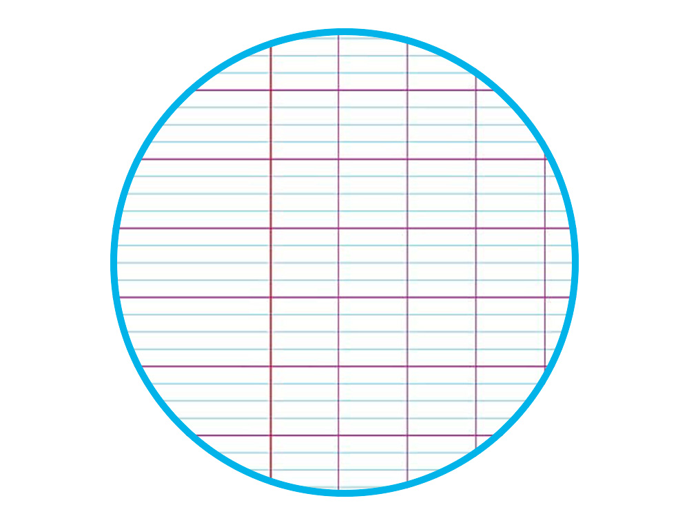 CAHIER PIQUE CLAIREFONTAINE KOVERBOOK BLUSH POLYPROPYLENE 24X32CM 96 PAGES SEYES        COLORIS PASTEL ASSORTIS