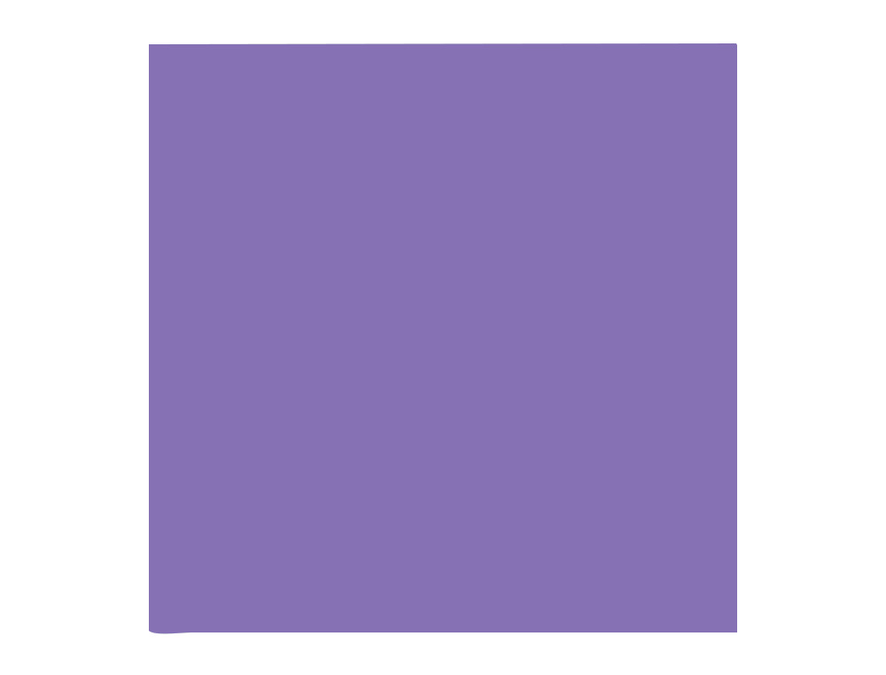 PAPIER CLAIREFONTAINE MULTIFONCTION LASER COULEUR TROPHE A3 80G/M2 VIOLINE PARFAITE OPACITE PAQUET 500