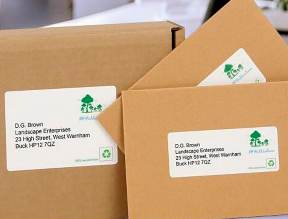 ETIQUETTE AUTOCOLLANTE AVERY ADRESSE RECYCLEE LASER BLANC  99,1 X 33,9MM BOITE DE 240
