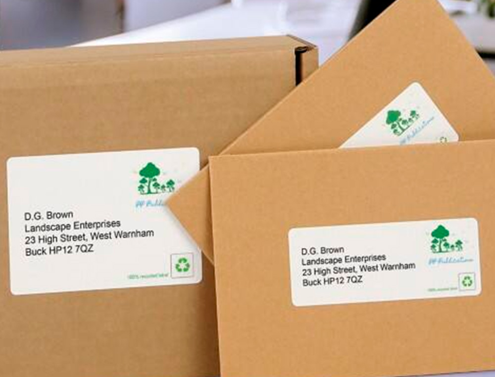 ETIQUETTE AUTOCOLLANTE AVERY ADRESSE RECYCLEE LASER BLANC  63,5 X 38,1MM BOITE DE 315