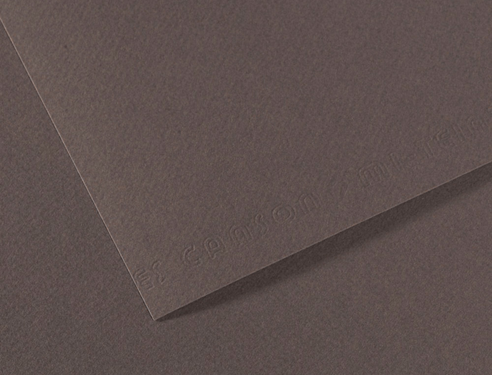 PAPIER DESSIN CANSON FEUILLE MI-TEINTES N 345 GRAIN GELATINE HAUTE TENEUR COTON 160G 50X X65CM UNICOLORE GRIS ARDOISE
