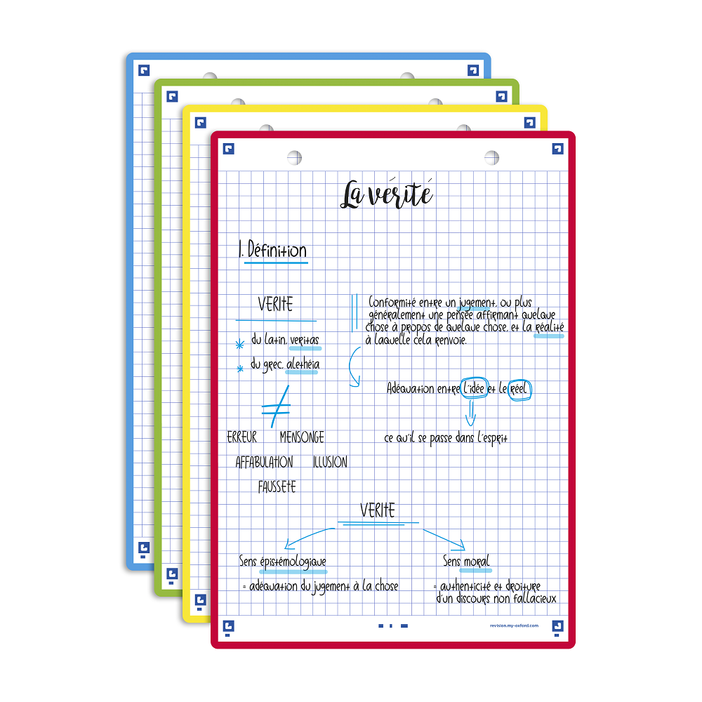FICHES BRISTOL OXFORD REVISION 2.0 A5 PERFOREE 32   FICHES/FILM Q5X5 COULEUR      ASSORTIES