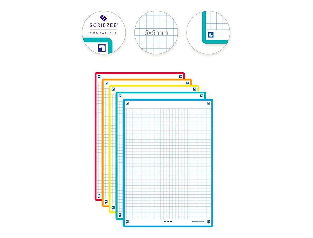FICHES BRISTOL OXFORD REVISION 2.0 A5 PERFOREE 32   FICHES/FILM Q5X5 CARTON       ASSORTI