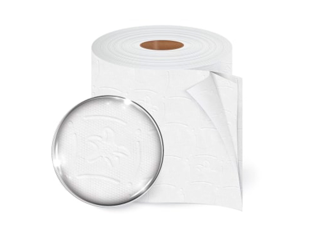 PAPIER HYGIENIQUE AMOOS DOMESTIQUE 2 PLIS 20M PAQUET  DE 12 ROULEAUX