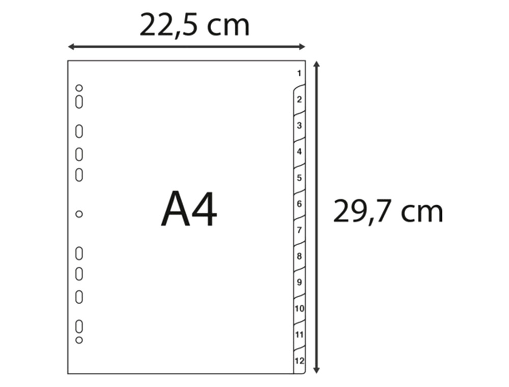 INTERCALAIRES IMPRIMES NUMERIQUES EXACOMPTA          POLYPROPYLENE A4 12POSITIONES /NUMERIQUE GRIS
