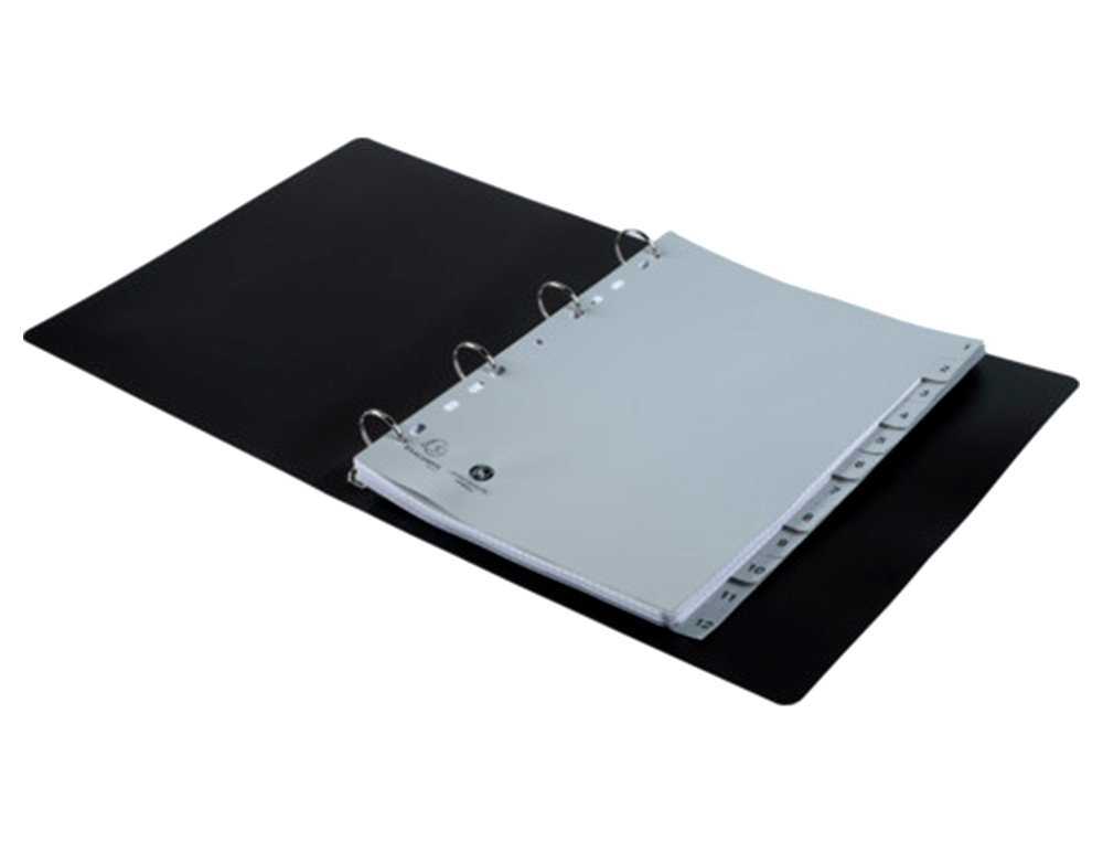 INTERCALAIRES IMPRIMES NUMERIQUES EXACOMPTA          POLYPROPYLENE A4 12POSITIONES /NUMERIQUE GRIS