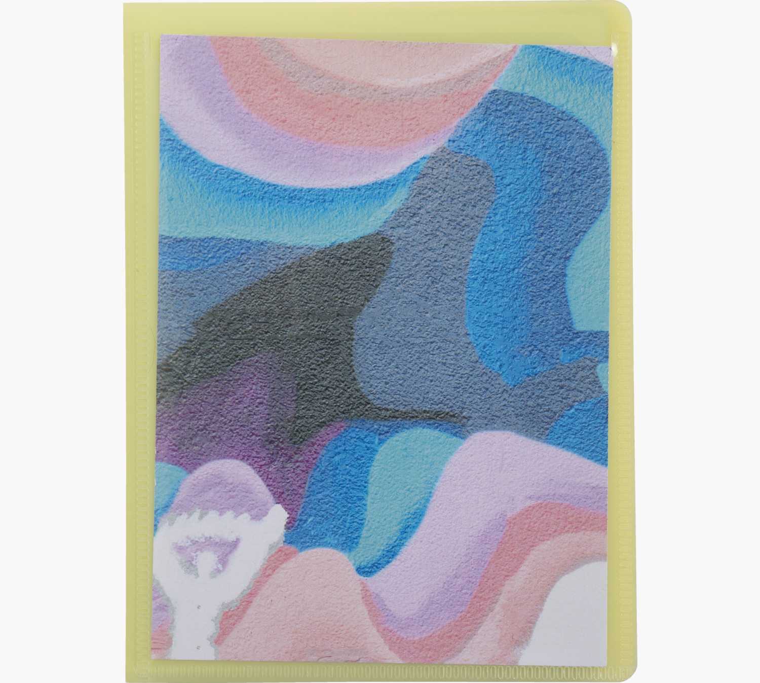 PORTE-DOCUMENTS EXACOMPTA KREACOVER  POLYPROPYLENE      110X150MM 40VUES ASSORTIMENT  PASTEL