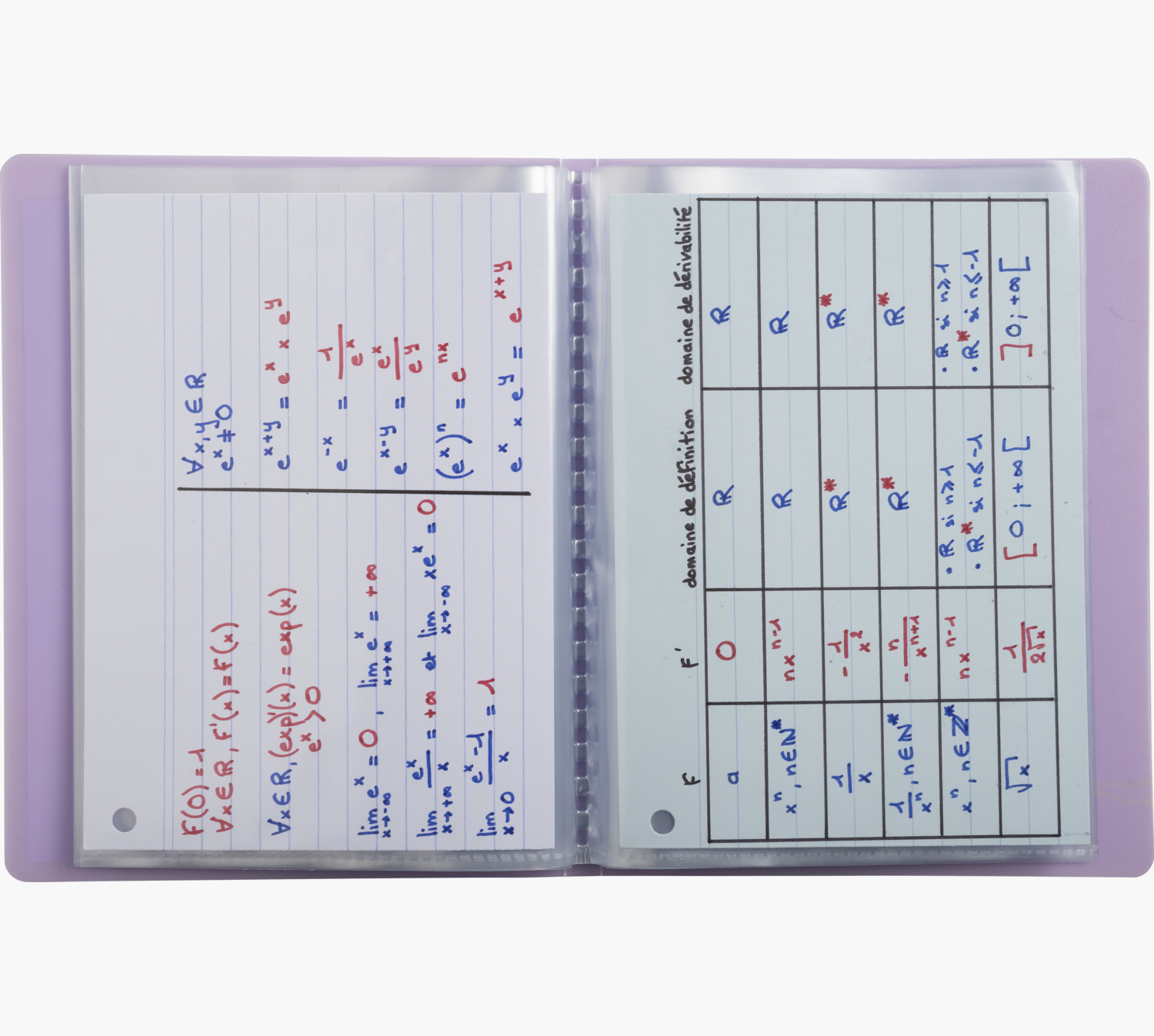 PORTE-DOCUMENTS EXACOMPTA KREACOVER  POLYPROPYLENE      110X150MM 40VUES ASSORTIMENT  PASTEL
