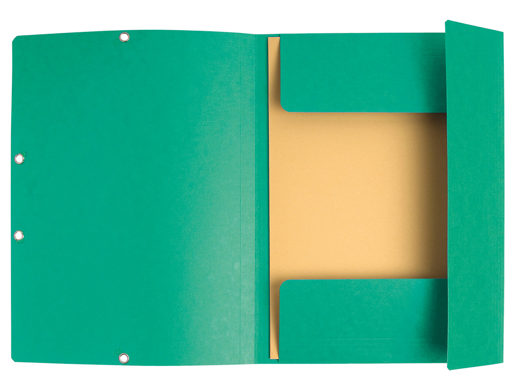 CHEMISE EXACOMPTA 3 RABATS CARTE LUSTREE 355GR A4 FERMETURE ELASTIQUE ETIQUETTE COLORIS VERT LOT 10 UNITES