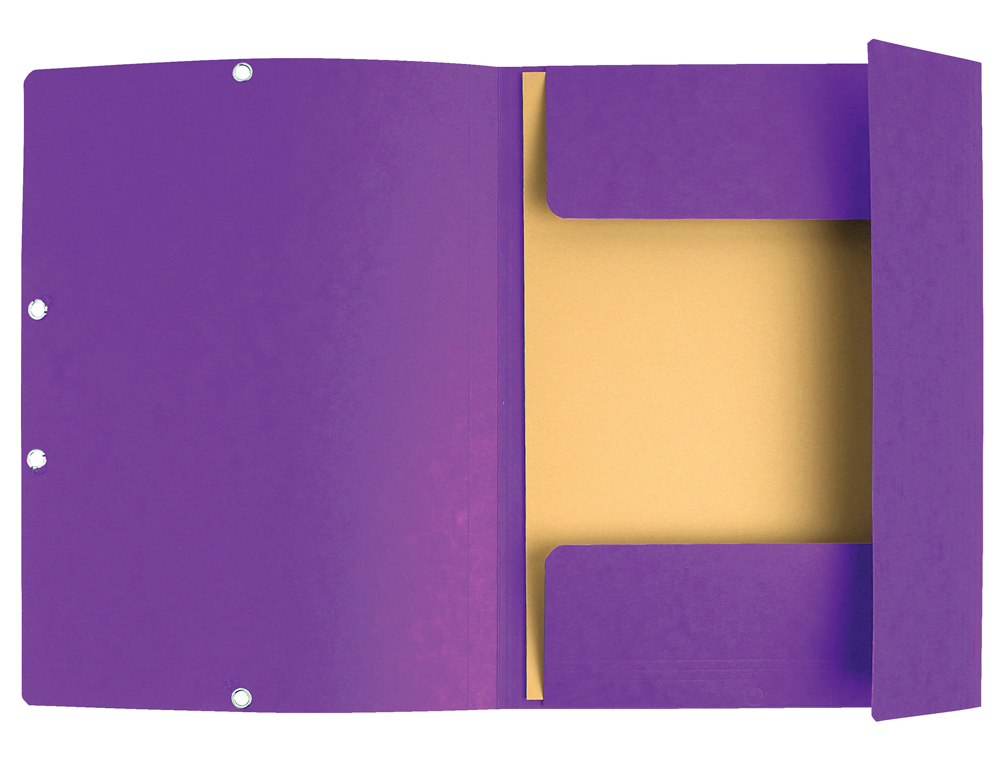 CHEMISE EXACOMPTA 3 RABATS CARTE LUSTREE 355GR A4        FERMETURE ELASTIQUE ETIQUETTE COLORIS VIOLET LOT 10 UNITES