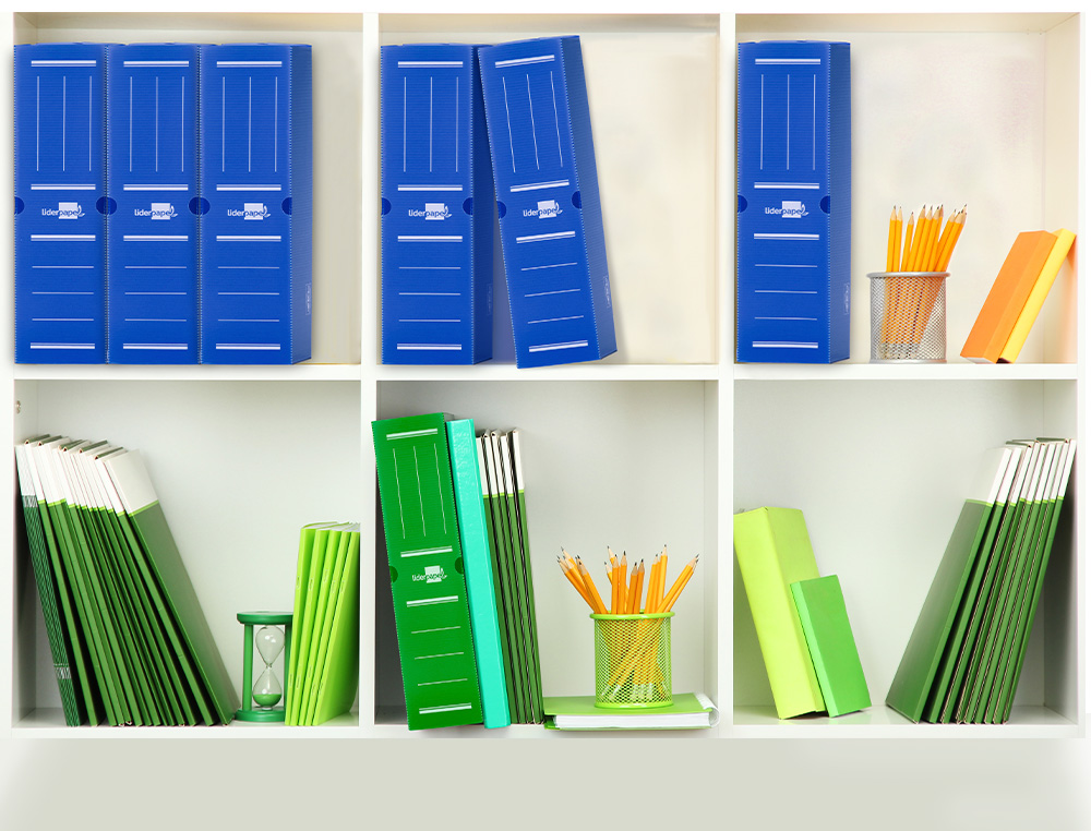 BOITE A ARCHIVES LIDERPAPEL POLYPROPYLENE ONDULE DOS      100MM 360X100X260MM COLORIS   BLEU