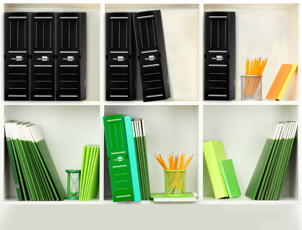 BOITE A ARCHIVES LIDERPAPEL POLYPROPYLENE ONDULE DOS      100MM 360X100X260MM COLORIS   NOIR