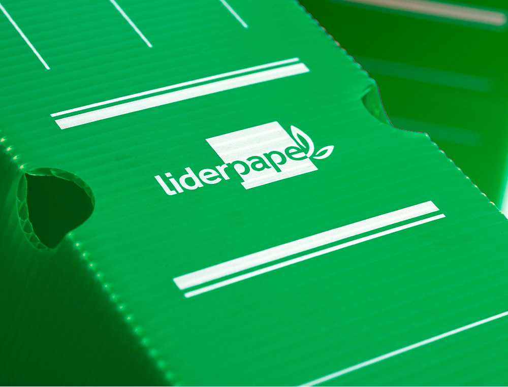BOITE A ARCHIVES LIDERPAPEL POLYPROPYLENE ONDULE DOS      100MM 360X100X260MM COLORIS   VERT