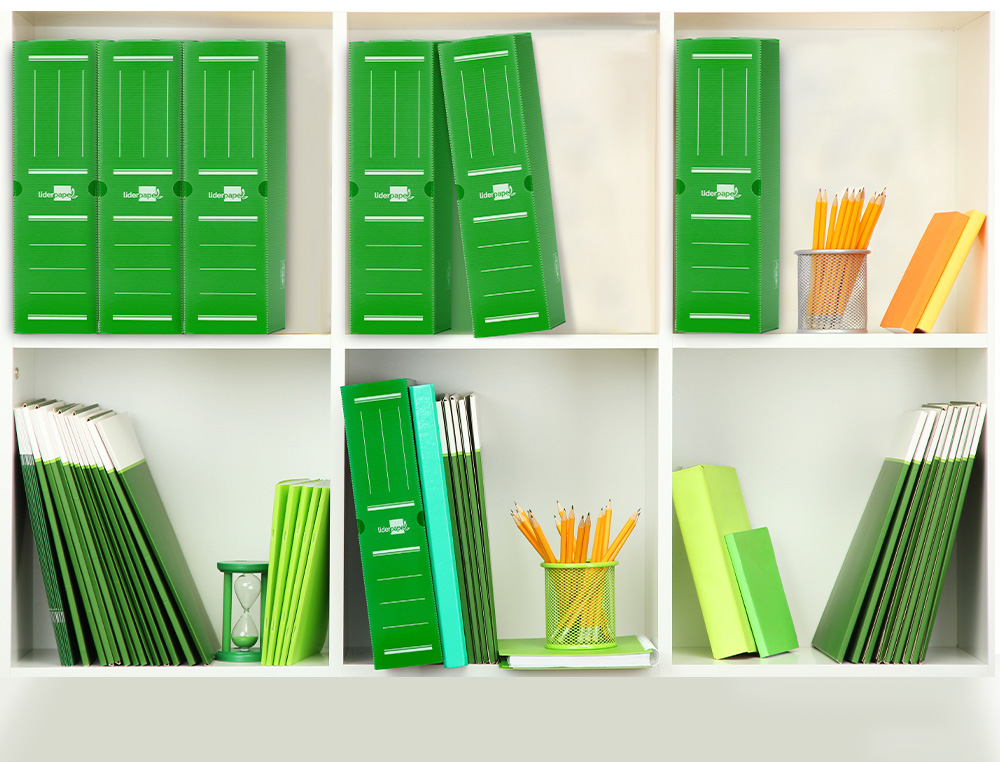 BOITE A ARCHIVES LIDERPAPEL POLYPROPYLENE ONDULE DOS      100MM 360X100X260MM COLORIS   VERT