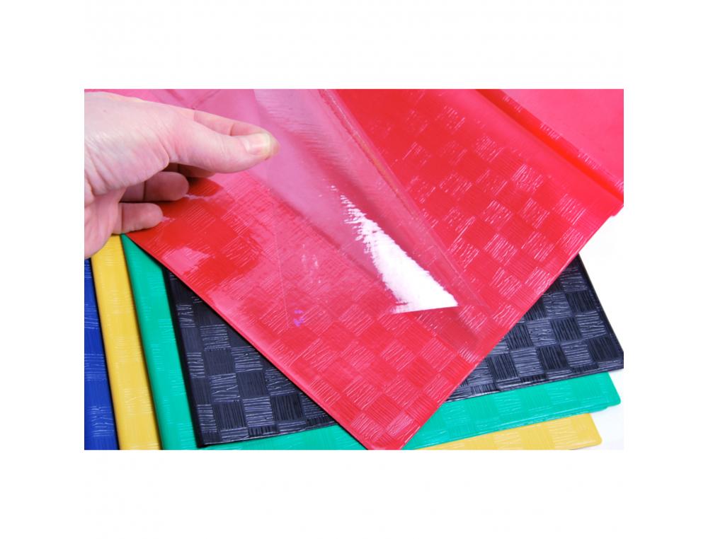 PROTEGE-CAHIER CLAIREFONTAINE 17X22CM PLASTIQUE 22/100E 2   RABATS COLORIS ROUGE
