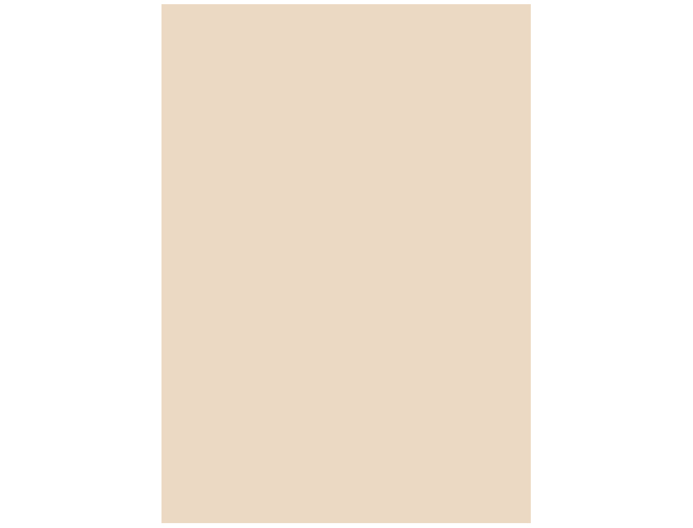 PAPIER COULEUR LIDERPAPEL MULTIFONCTION A4 165G/M2 PAQUET UNICOLORE 9 FEUILLES COLORIS CRÈME