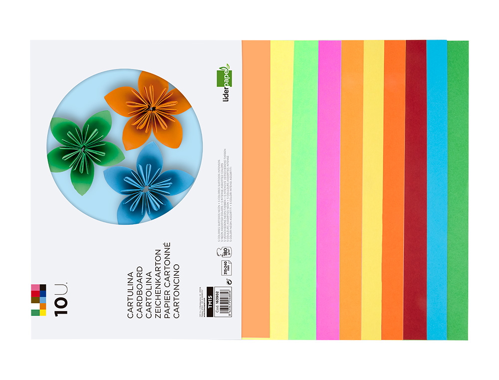 BLOC PAPIER DESSIN LIDERPAPEL 240X315MM 180G/M2 10F 5       COLORIS NEON + 5 COLORIS      INTENSES ASSORTIS