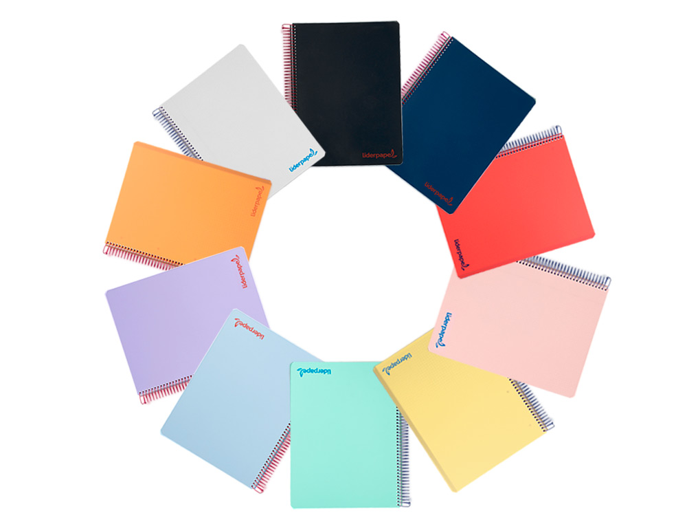 CAHIER SPIRALE LIDERPAPEL A4 MICRO WONDER 240 PAGES 90G    5X5MM 4 TROUS 5 BANDES        COLORIS ASSORTIS