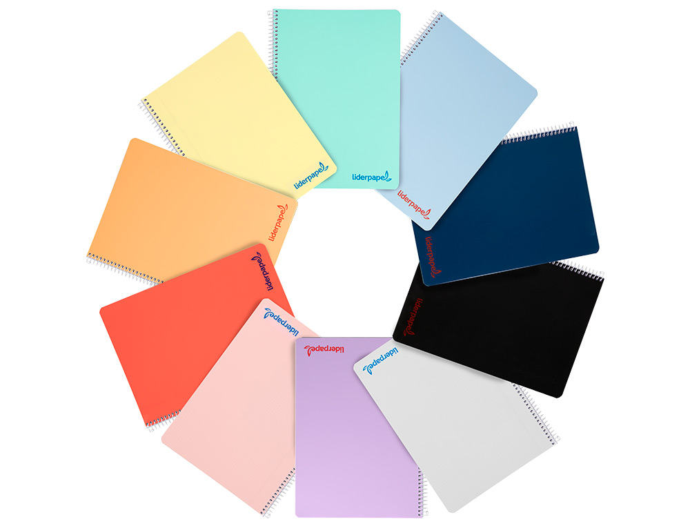 CAHIER SPIRALE LIDERPAPEL A4 MICRO WONDER 240 PAGES 90G    5X5MM 4 TROUS 5 BANDES        COLORIS ASSORTIS