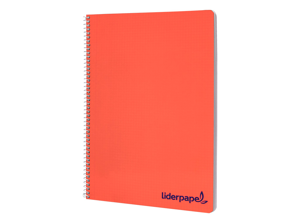 CAHIER SPIRALE LIDERPAPEL A4 MICRO WONDER 240 PAGES 90G    5X5MM 4 TROUS 5 BANDES        COLORIS ASSORTIS