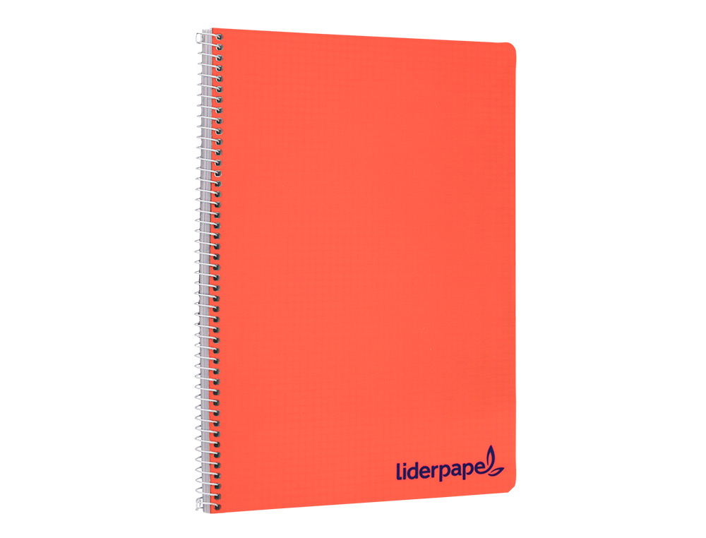CAHIER SPIRALE LIDERPAPEL A4 MICRO WONDER 240 PAGES 90G    5X5MM 4 TROUS 5 BANDES        COLORIS ASSORTIS