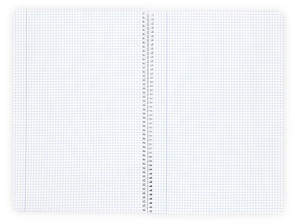 CAHIER SPIRALE LIDERPAPEL A4 MICRO WONDER 240 PAGES 90G    5X5MM 4 TROUS 5 BANDES        COLORIS ASSORTIS