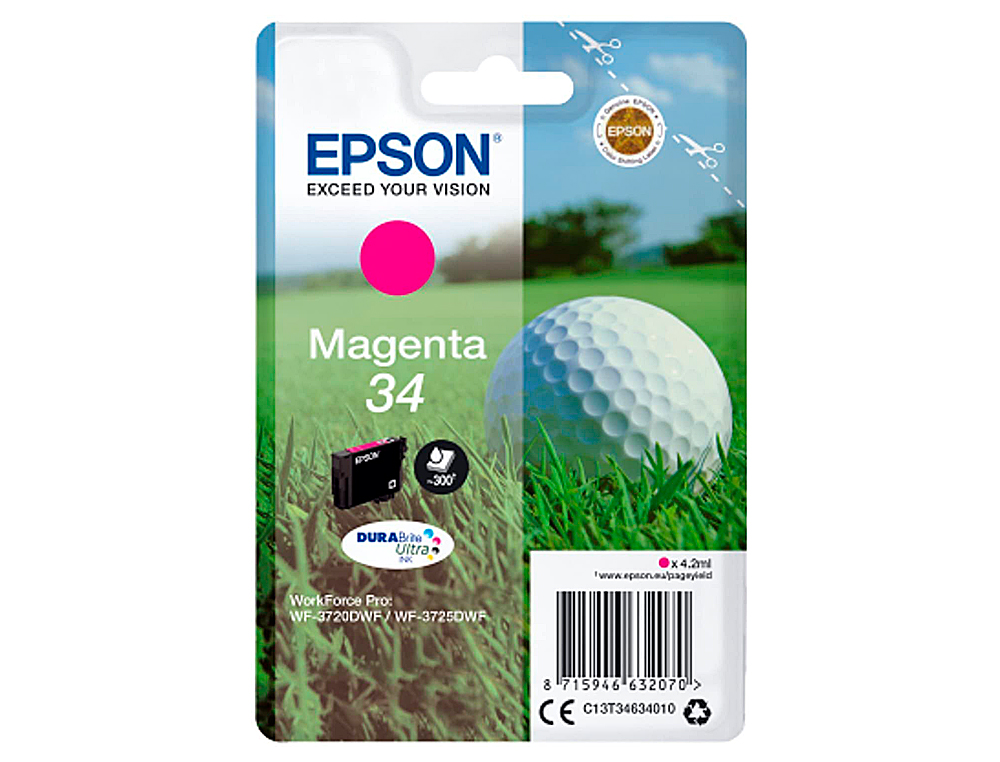 CARTOUCHE EPSON N34 JET D'ENCRE COULEUR MAGENTA