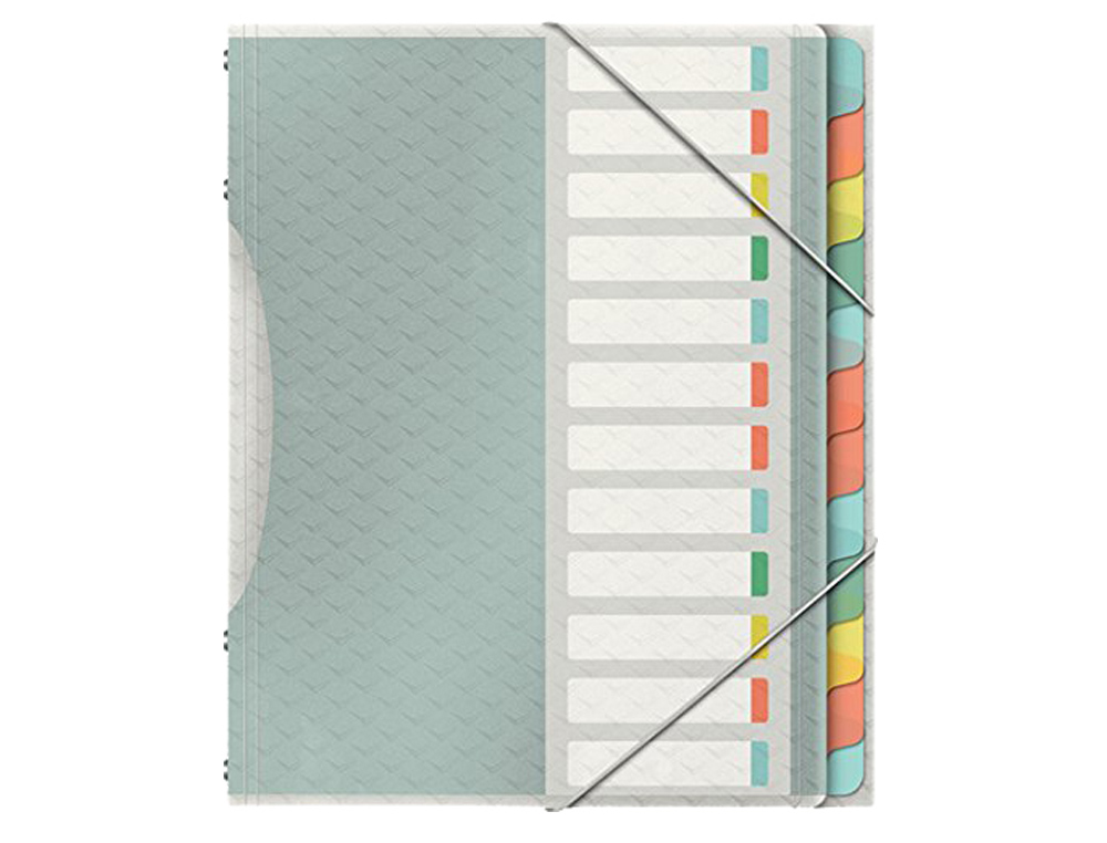 TRIEUR ESSELTE COLOUR'ICE POLYPROPYLNE TEXTUR 266X320MM 12 TOUCHES FERMETURE LASTIQUE COLORIS ASSORTIS
