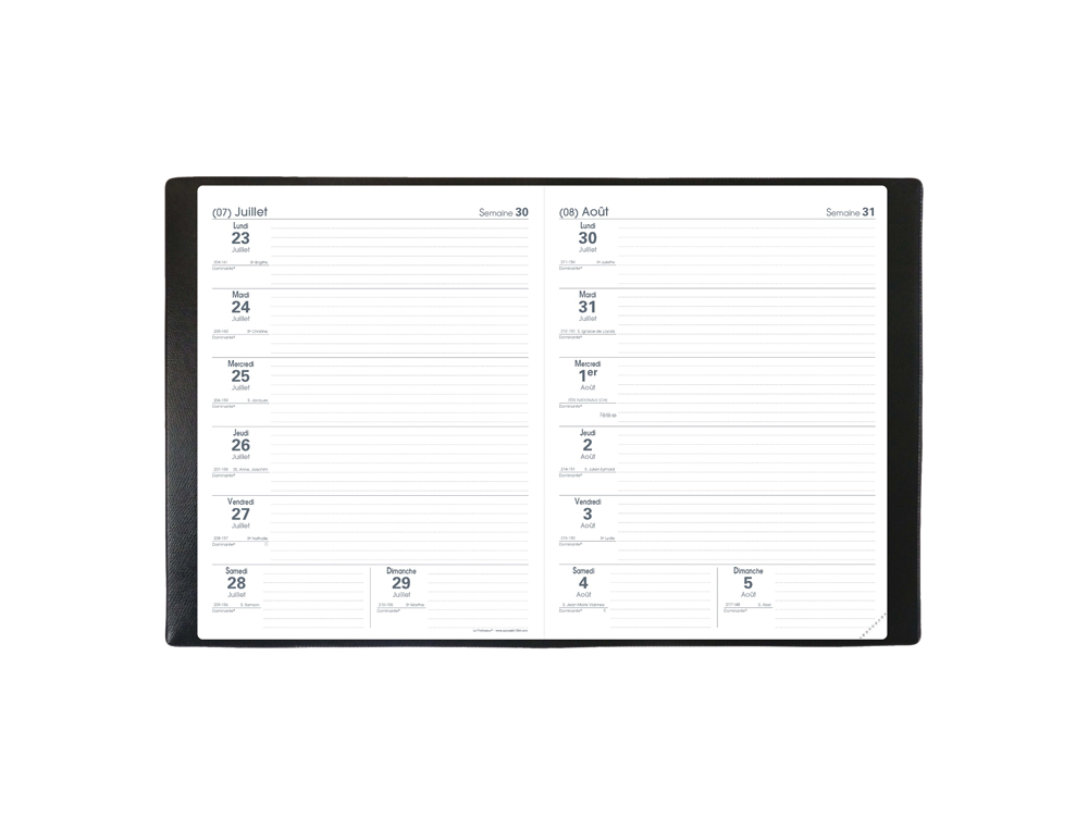AGENDA QUO VADIS LE PROFESSEUR IMPALA COLORIS     NOIR DIM. 210X270MM