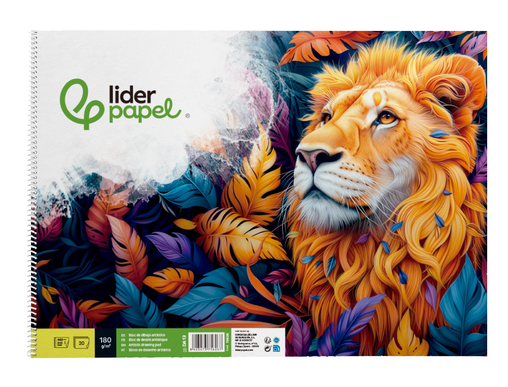 BLOC LIDERPAPEL PAPIER DESSIN ARTISTIQUE SPIRALE SANS ENCADREMENT 180G/M2 FORMAT A3 460X325MM 20F