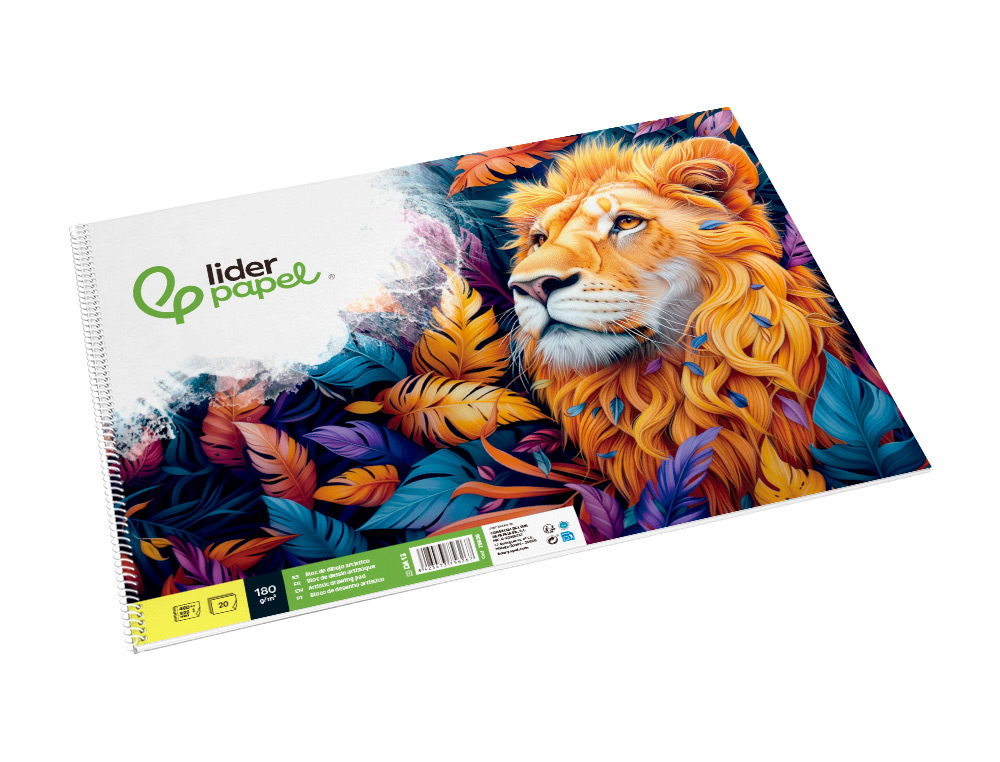 BLOC LIDERPAPEL PAPIER DESSIN ARTISTIQUE SPIRALE SANS ENCADREMENT 180G/M2 FORMAT A3 460X325MM 20F