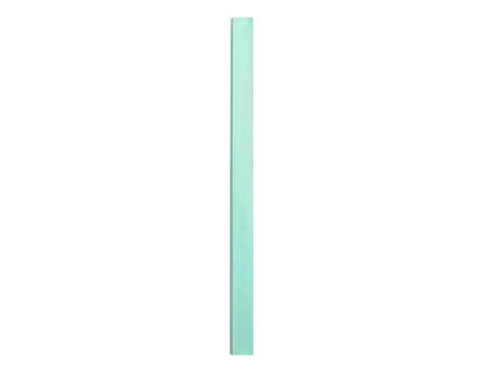 PROTEGE-DOCUMENTS LIDERPAPEL POLYPROPYLENE COUVERTURE      FLEXIBLE 40 POCHETTES FIXES   A4 220X297MM VERT POMME