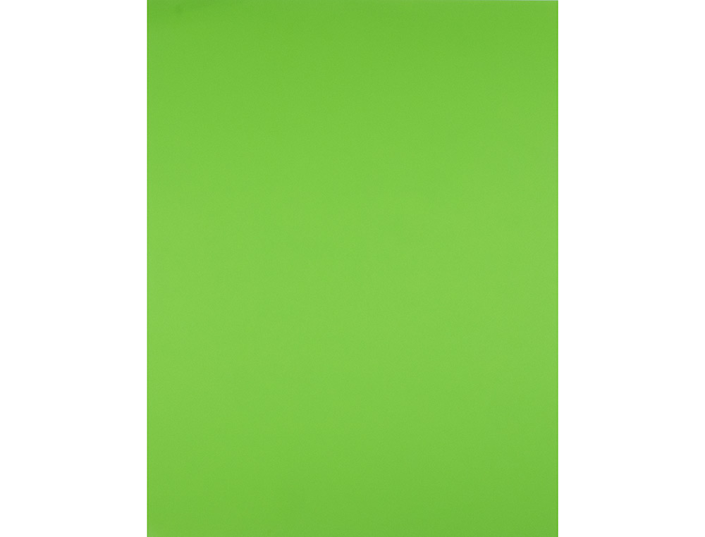 PAPIER CARTONNÉ LIDERPAPEL DESSIN TRAVAUX MANUELS 240G/M2 50X65CM UNICOLORE VERT HERBE
