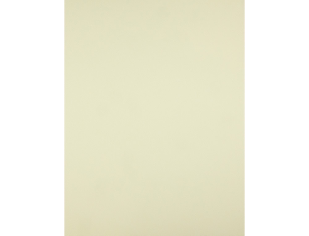 PAPIER CARTONNÉ LIDERPAPEL DESSIN TRAVAUX MANUELS 240G/M2 50X65CM UNICOLORE JAUNE