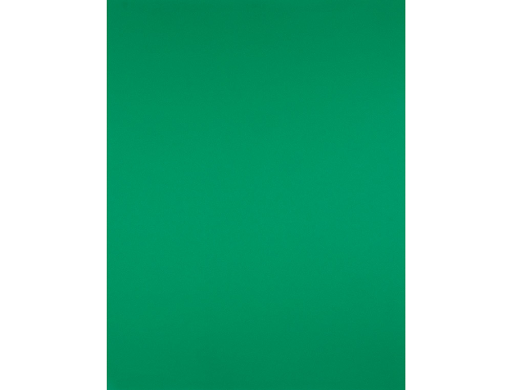 PAPIER CARTONNÉ LIDERPAPEL DESSIN TRAVAUX MANUELS 240G/M2 50X65CM UNICOLORE VERT NOËL