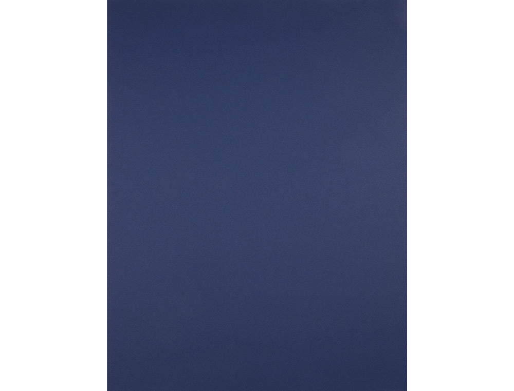 PAPIER CARTONNE LIDERPAPEL 50X65CM 240GR COLORIS BLEU    SAPHIR PAQUET 25 FEUILLES