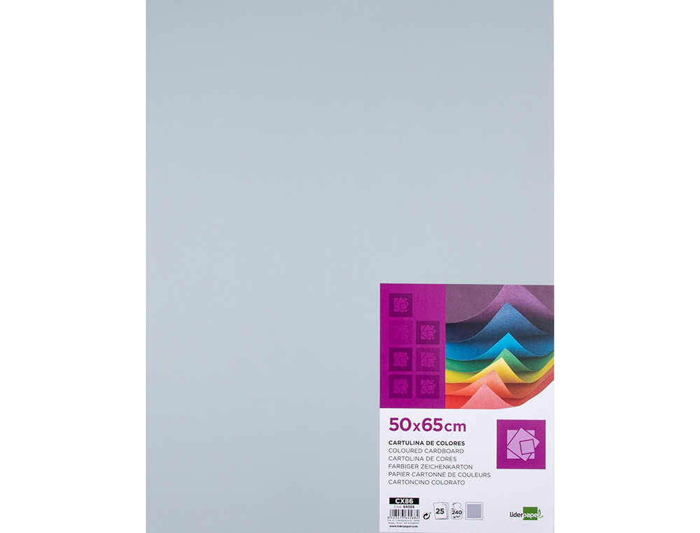 PAPIER CARTONNE LIDERPAPEL 50X65CM 240GR COLORIS GRIS PAQUET 25 FEUILLES