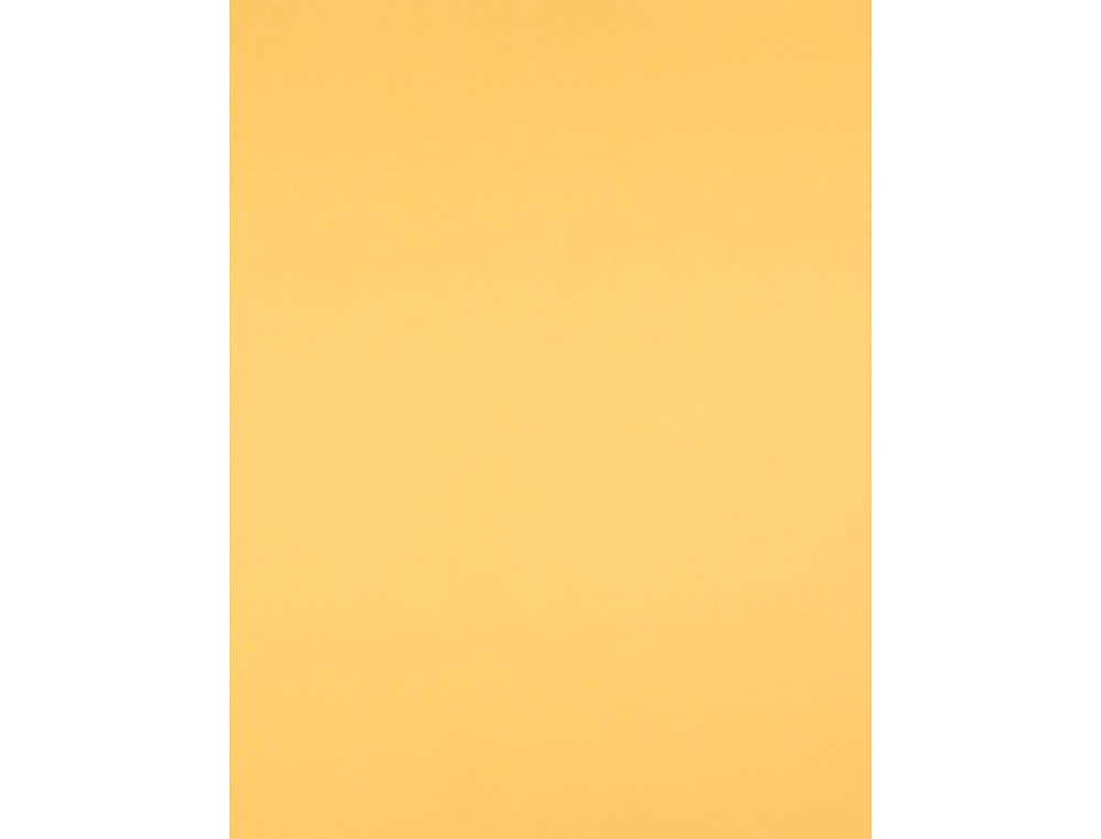 PAPIER CARTONNE LIDERPAPEL 50X65CM 240GR COLORIS OR      PAQUET 25 FEUILLES