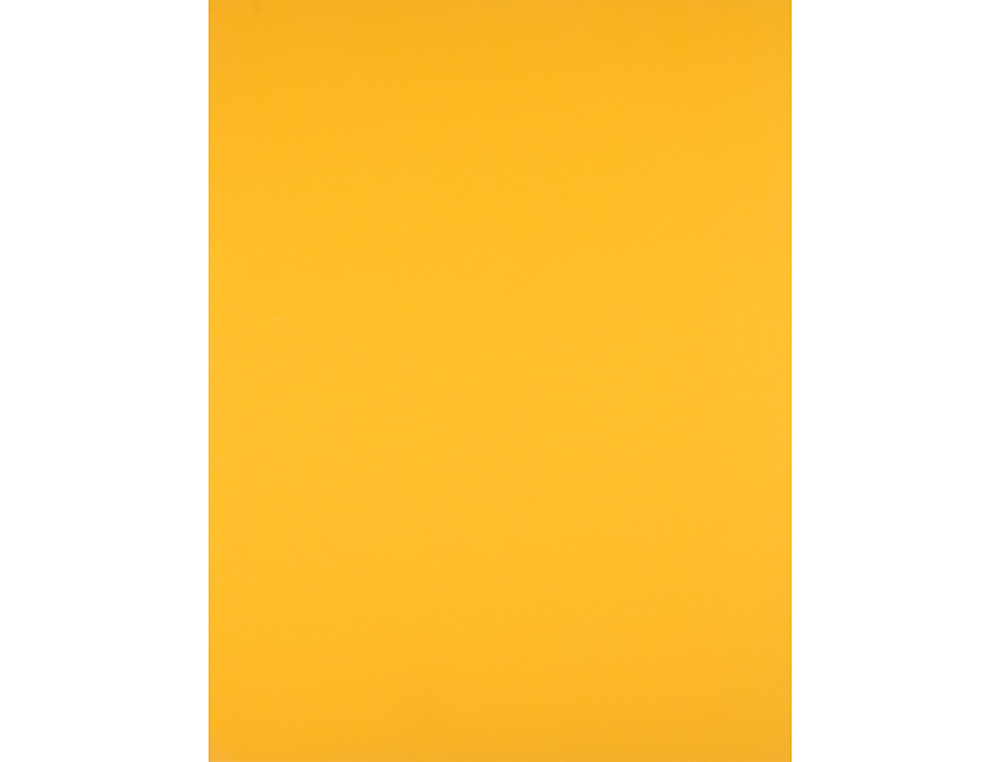 PAPIER CARTONNE LIDERPAPEL 50X65CM 240GR COLORIS VIEIL OR PAQUET 25 FEUILLES
