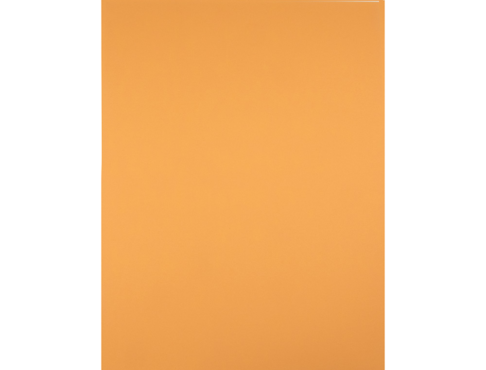 PAPIER CARTONNE LIDERPAPEL 50X65CM 180GR COLORIS NOISETTE PAQUET 25 FEUILLES