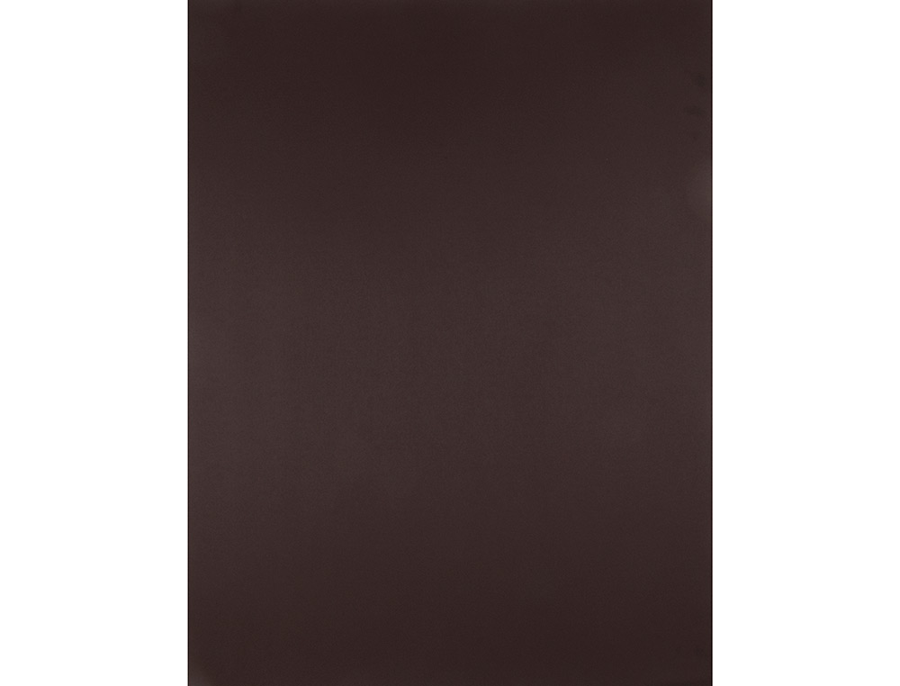 PAPIER CARTONNE LIDERPAPEL 50X65CM 180GR COLORIS MARRON  PAQUET 25 FEUILLES