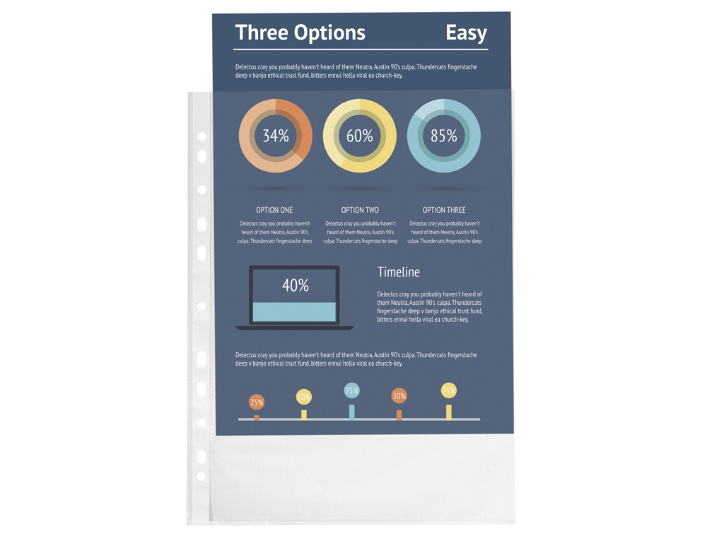 POCHETTE PERFOREE EXACOMPTA A4 PP GRAINE 4/100EME 38      MICRONS PAQUET 100 UNITES